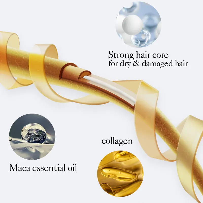 اسپری پروتئین کارسل